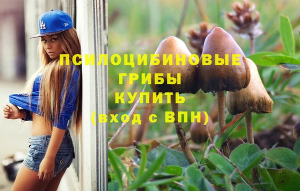 первитин Алексин