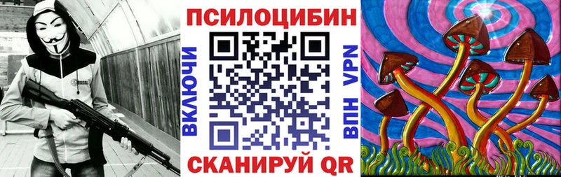 как найти   MEGA зеркало  Галлюциногенные грибы Psilocybe  shop наркотические препараты  Кудымкар 