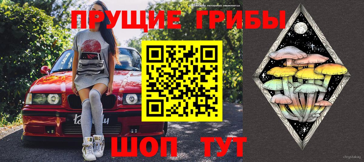 Кудымкар  Галлюциногенные грибы прущие грибы  Вход с VPN 